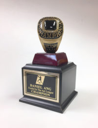 8″ Championship Ring Season Trophy on black base